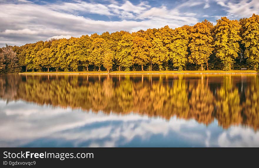 A clear calm lake with trees reflecting from the surface. A clear calm lake with trees reflecting from the surface.