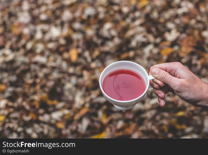 A person holding out a cup of tea with autumn leaves on the background.