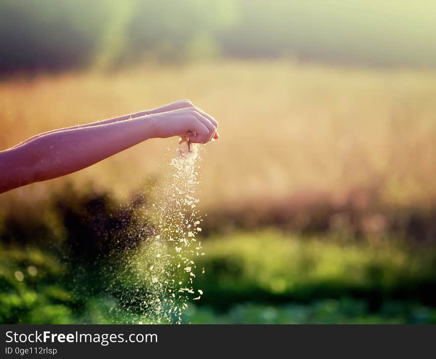 Child& X27;s Hands Pouring Sand On Summer Nature Background