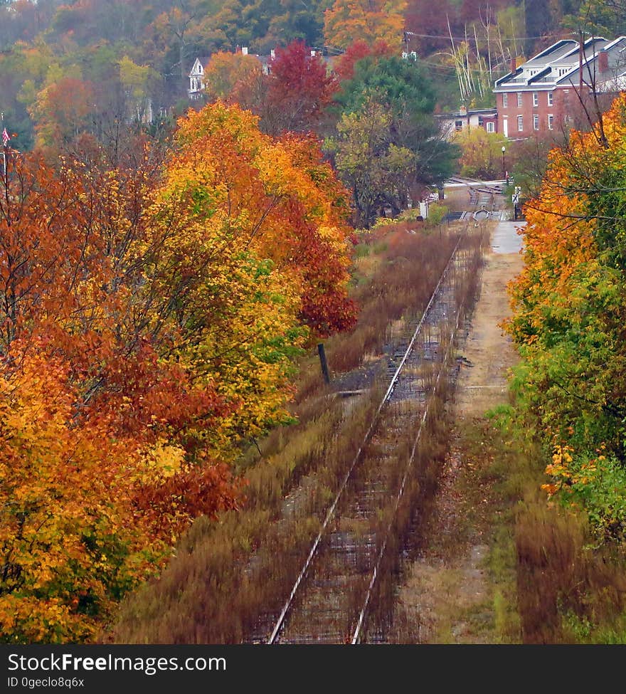 Autumn Train Tracks