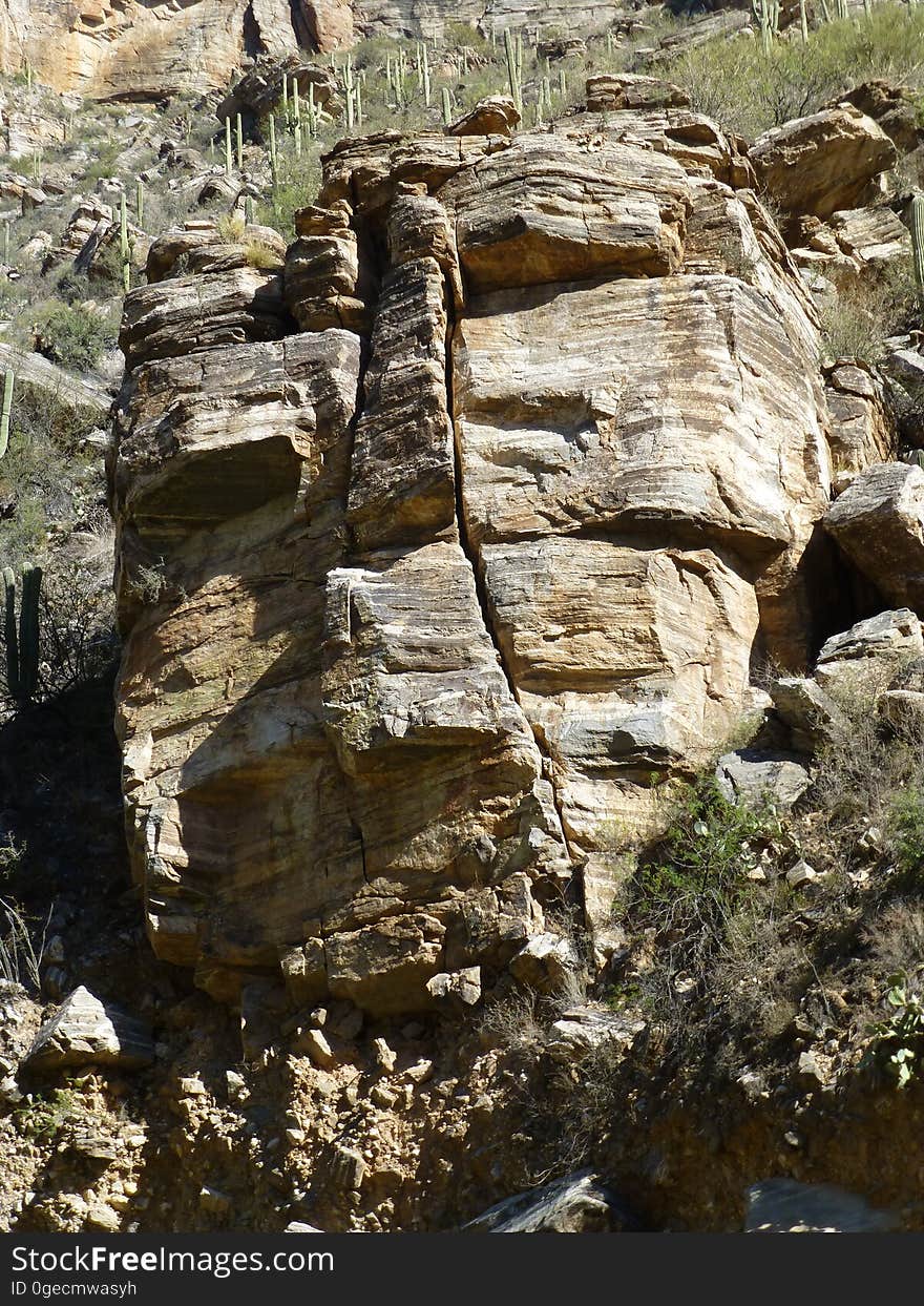 Plant, Bedrock, Wood, Vegetation, Mountain, Terrain