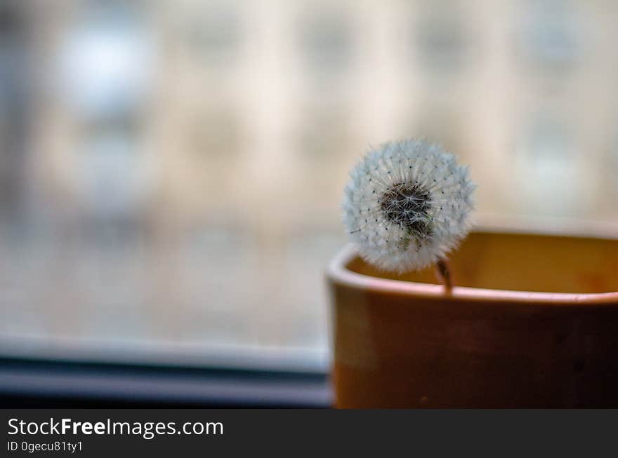 A single blurred dandelion seed 'clock' which children blow upon to tell the time in a brown vase next to a window also blurred. A single blurred dandelion seed 'clock' which children blow upon to tell the time in a brown vase next to a window also blurred.