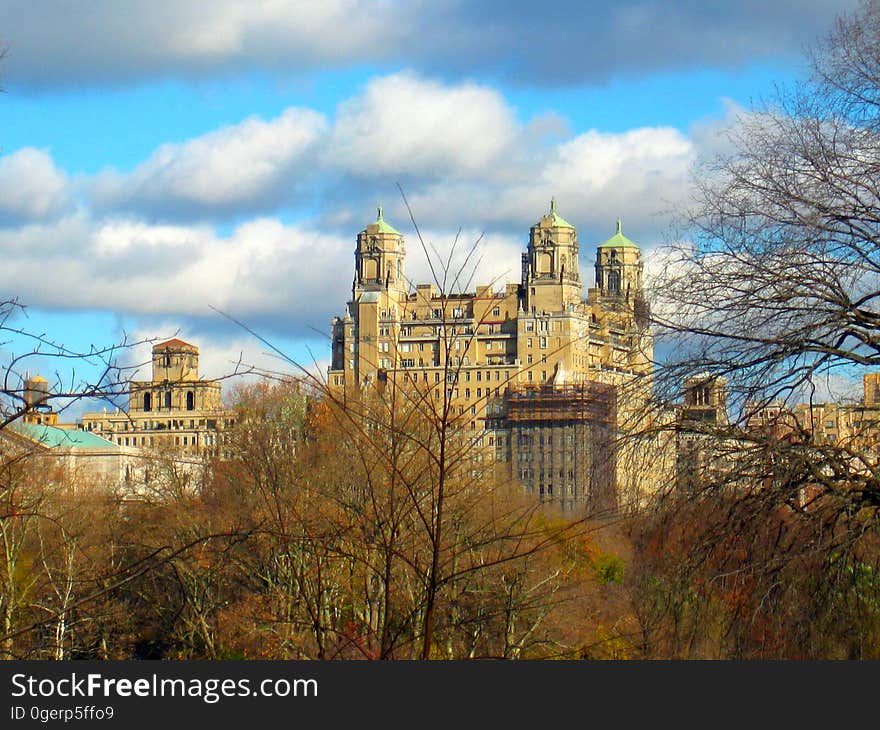 New York 29.11. - 3.12.2011, Stadtrundfahrt, Central Park. New York 29.11. - 3.12.2011, Stadtrundfahrt, Central Park