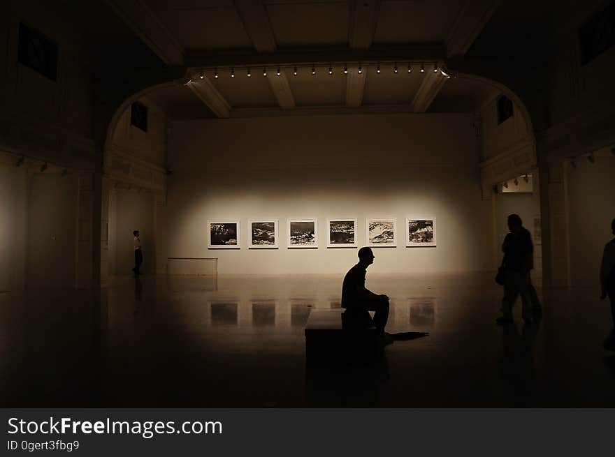 A gallery with photographs exhibition on display with visitors. A gallery with photographs exhibition on display with visitors.