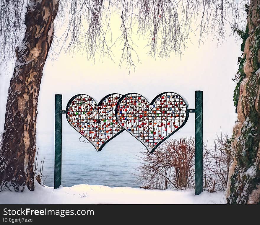 Heart Shape on Tree