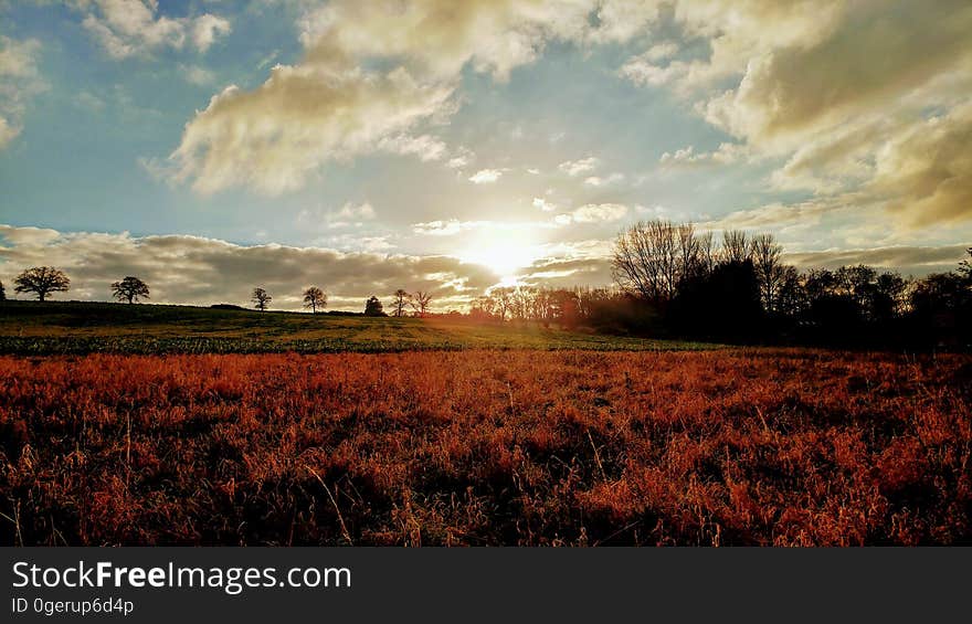 The sun setting on a farmers field. The sun setting on a farmers field.