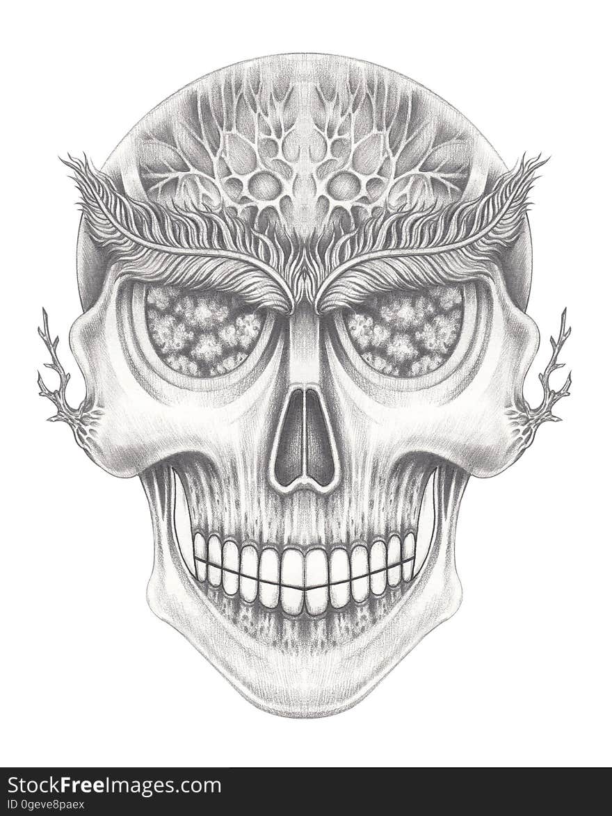 Art surreal skull.