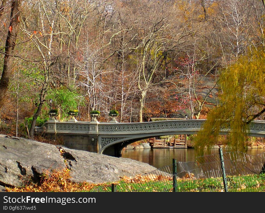 New York 29.11. - 3.12.2011, Stadtrundfahrt, Central Park. New York 29.11. - 3.12.2011, Stadtrundfahrt, Central Park