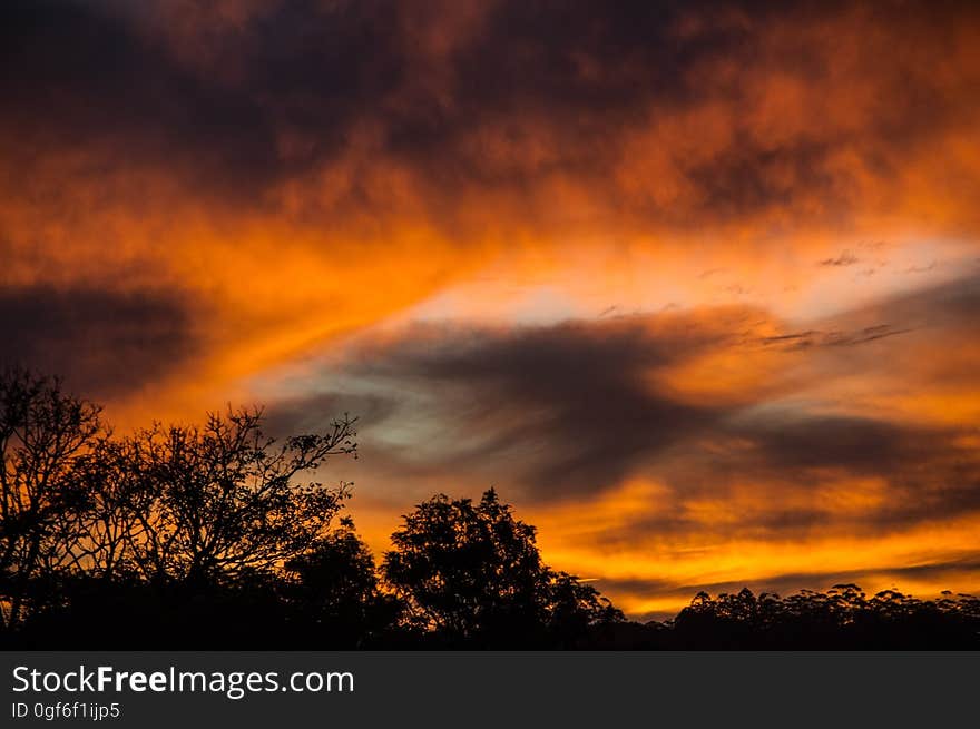 Orange Black and White Sunset View