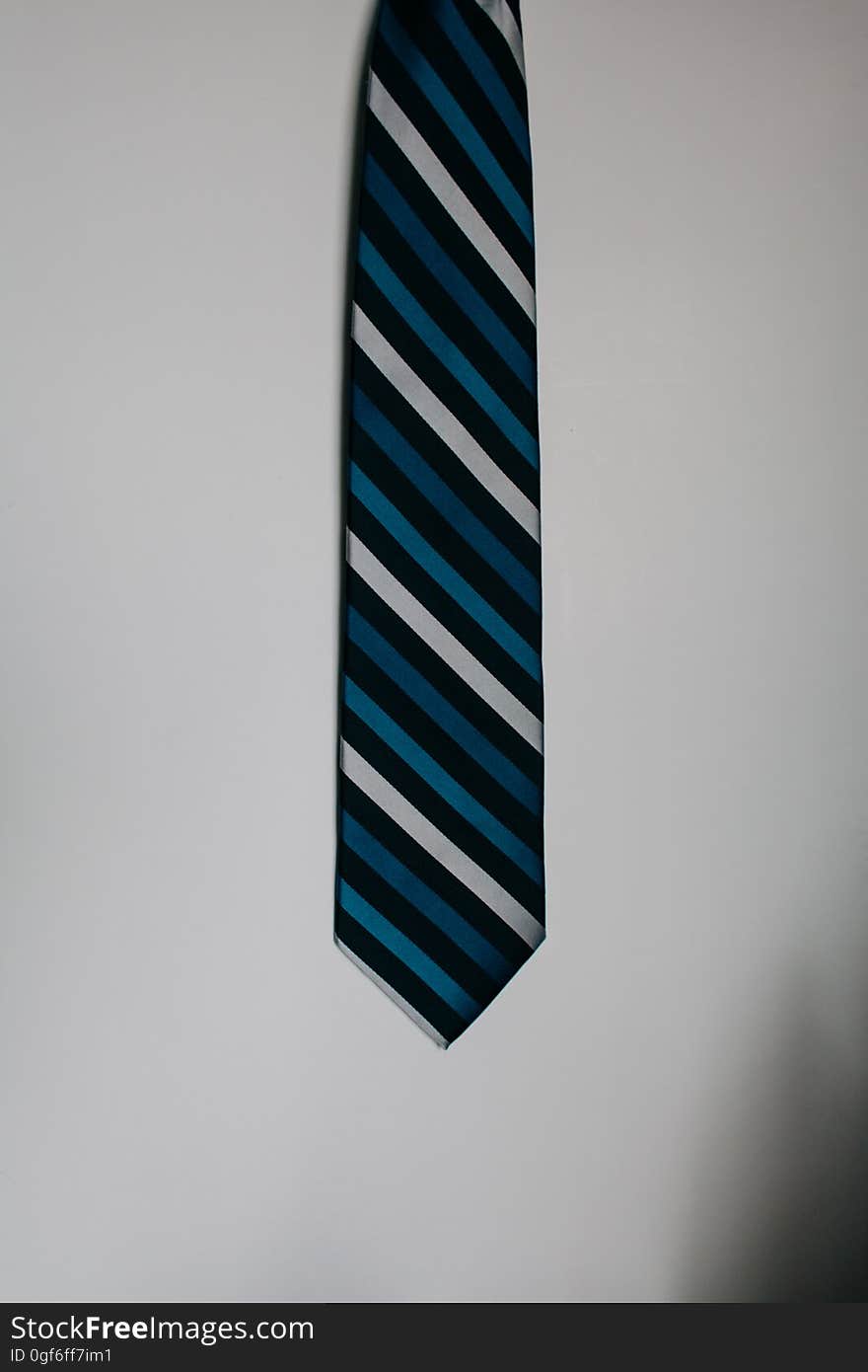 Blue Black and White Neck Tie