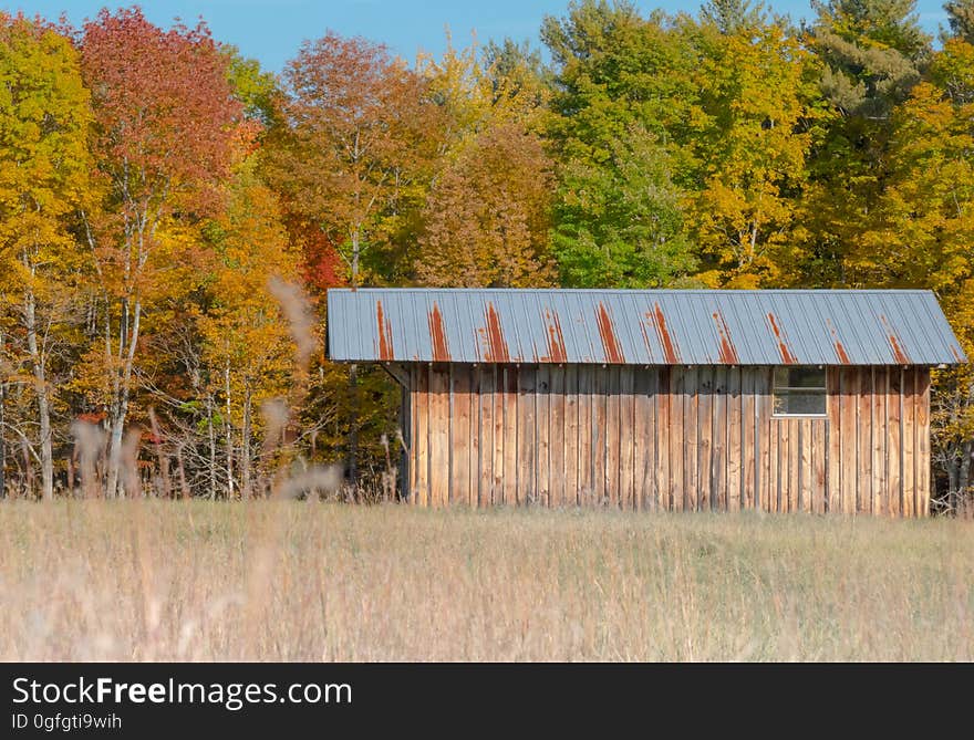 Rural Maine in Autumn