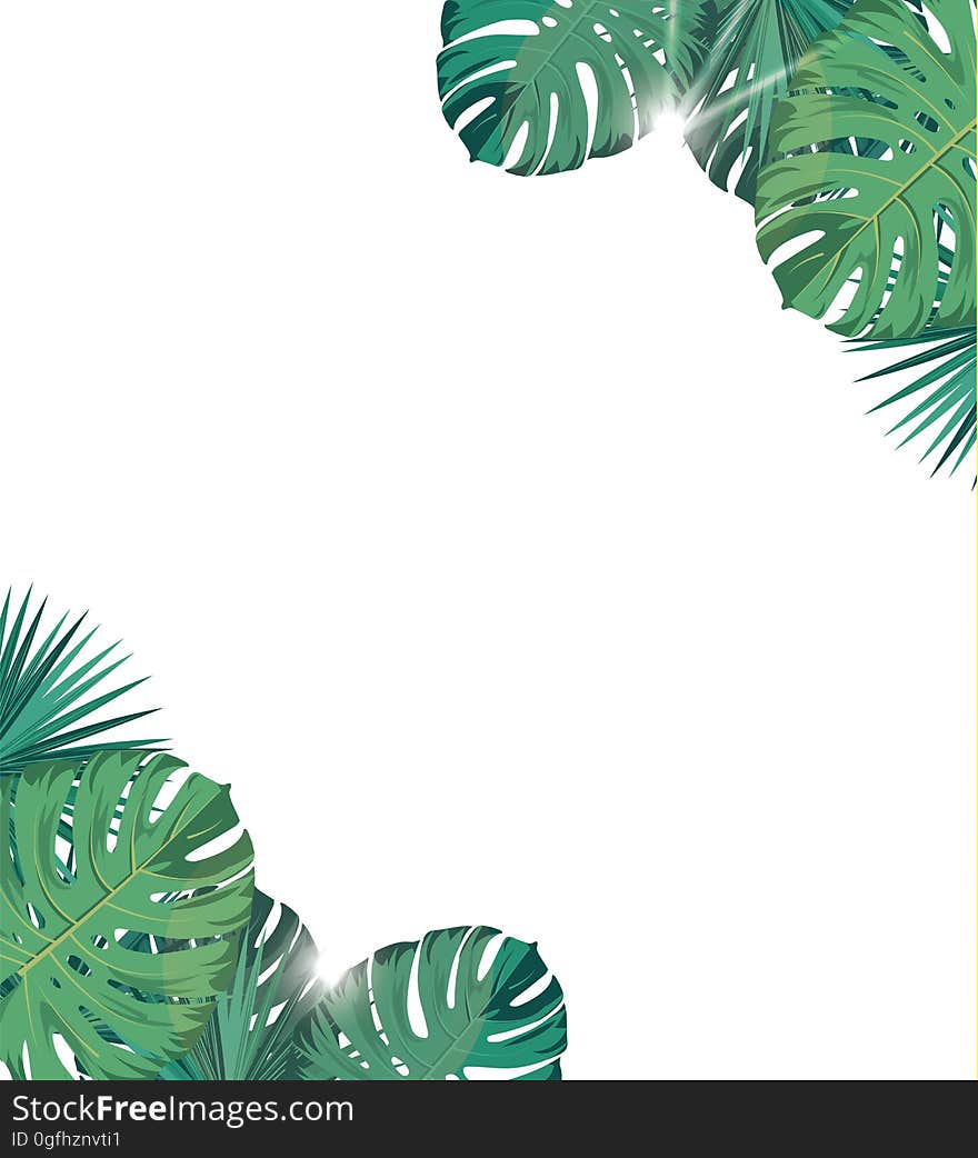 Tropic leaves with sunshine. Tropic background. Banner