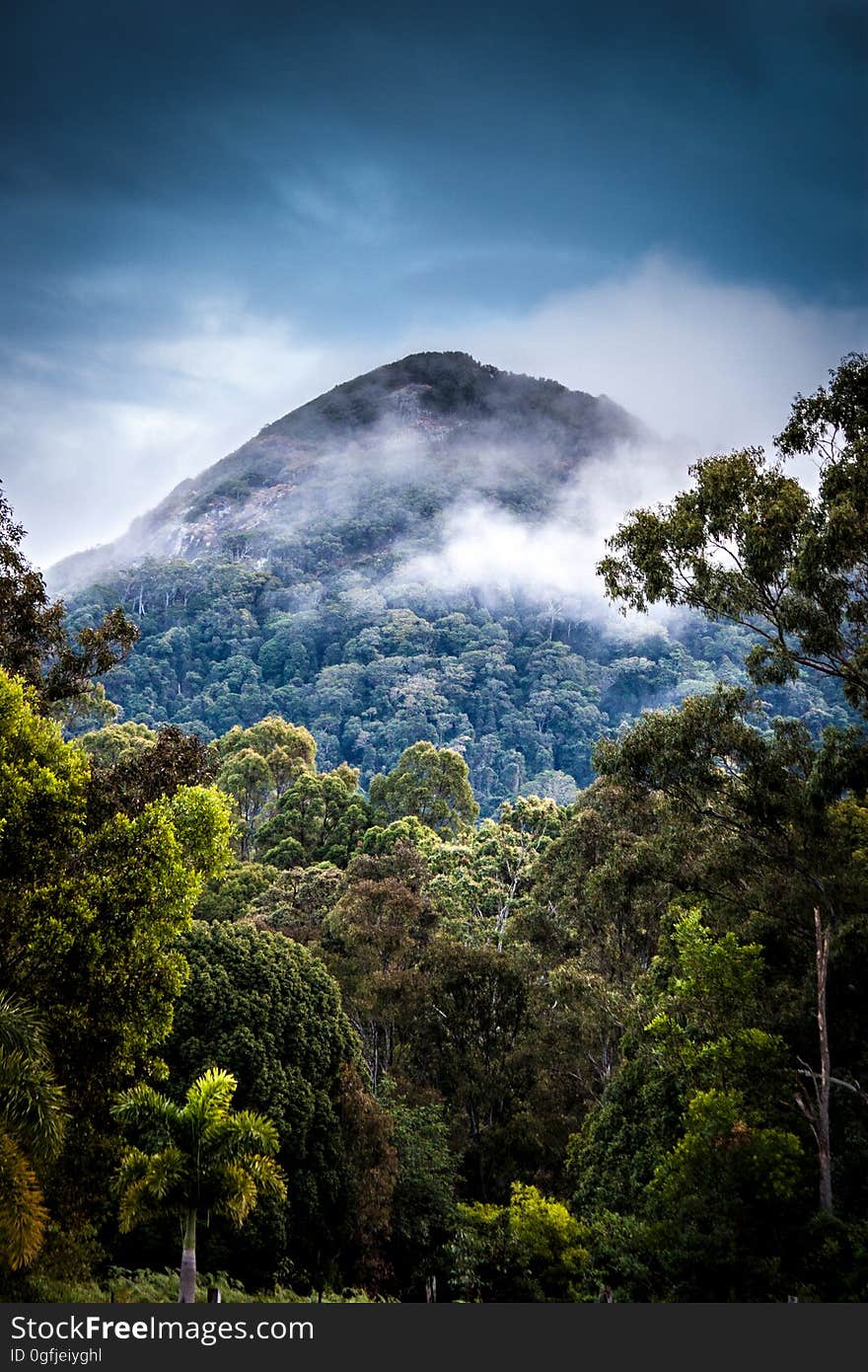 A beautiful tropical mountain range.