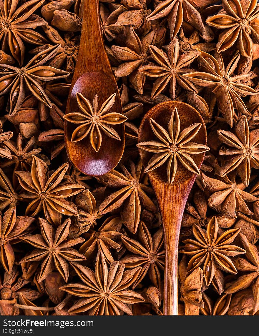 Directly Above Shot of Dried Decoration