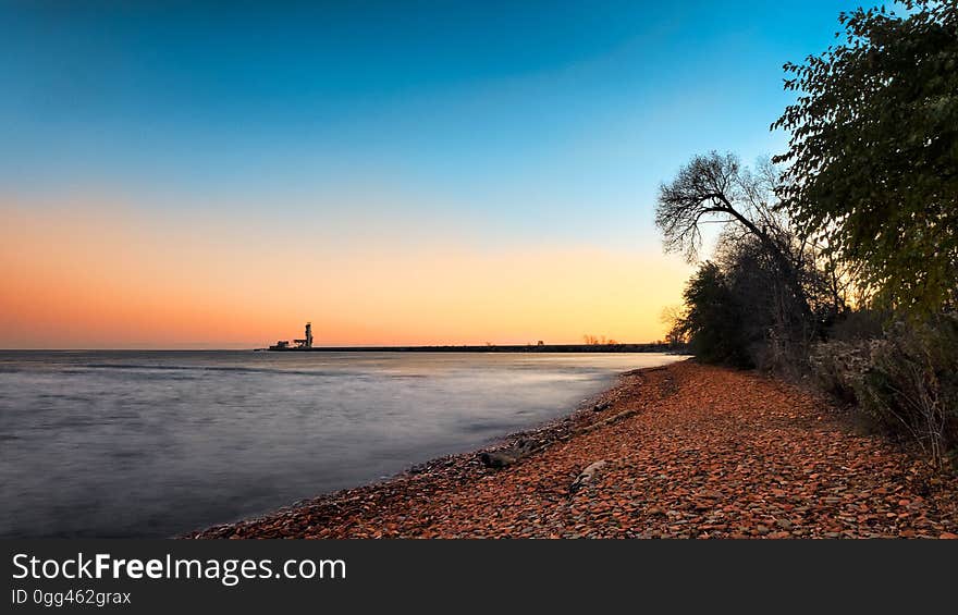 Trees on Shoreline Under Blue Sky