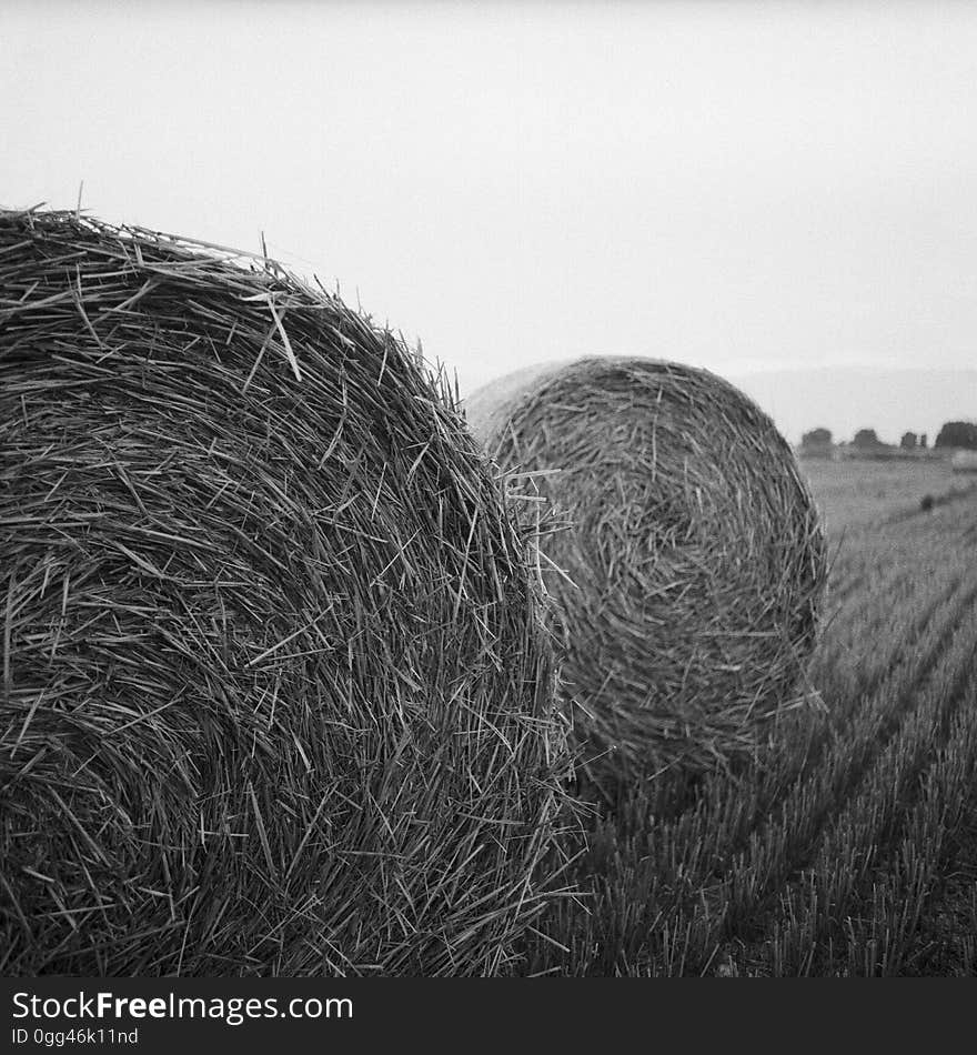 Gray Scale Photo of Haystack on Field