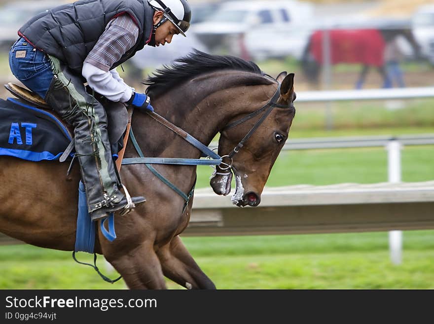 Horse Backriding Race