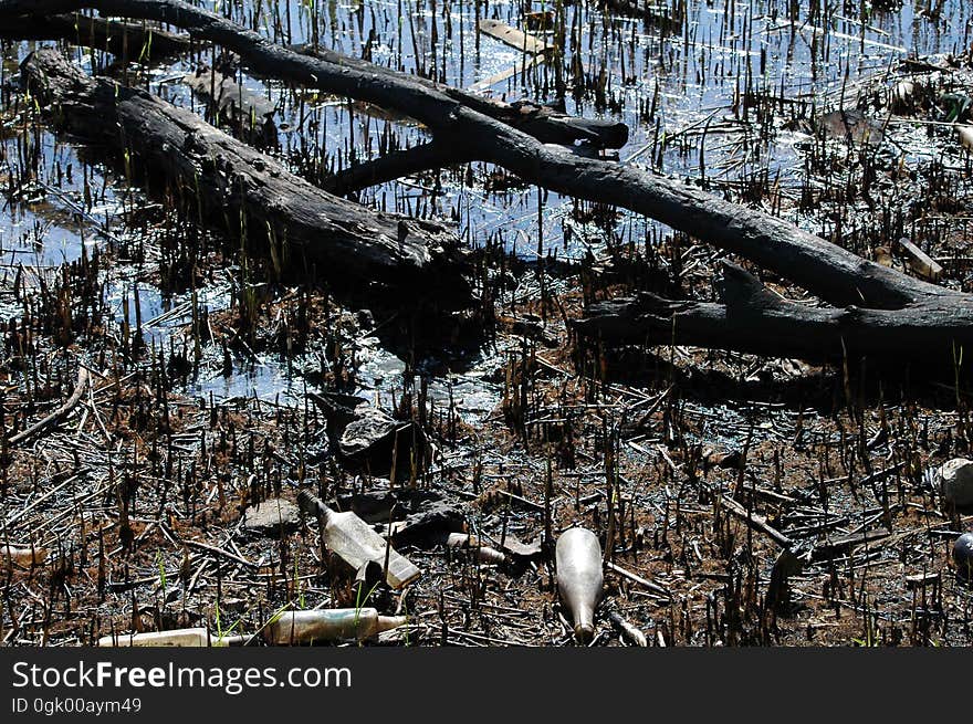 Ecology. Pollution of nature by human. A lot of household waste in water