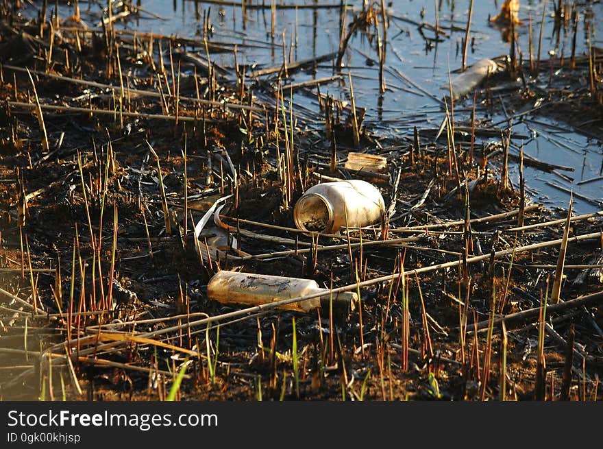 Ecology. Pollution Of Nature By Human. A Lot Of Household Waste In Water