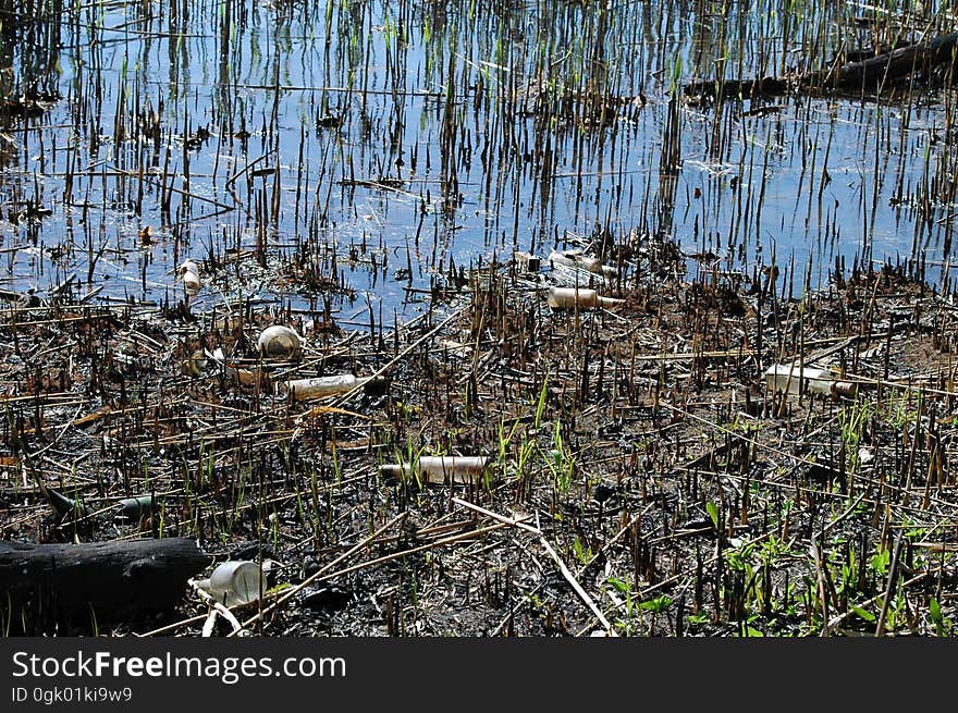 Ecology. Pollution Of Nature By Human. A Lot Of Household Waste In Water