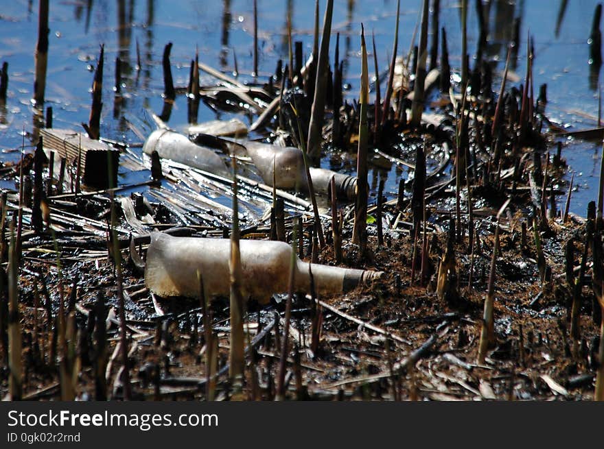 Ecology. Pollution of nature by human. A lot of household waste in water