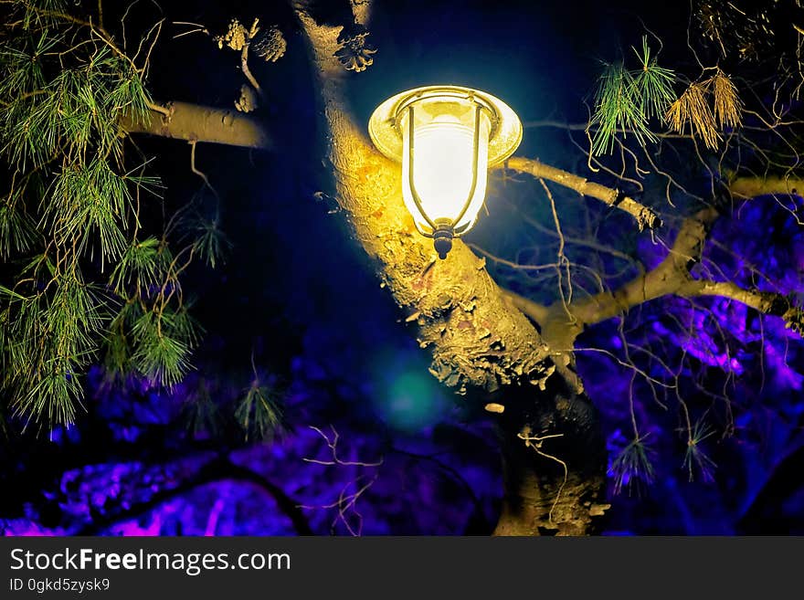 Street lantern illuminated at night in Dubrovnik, Croatia