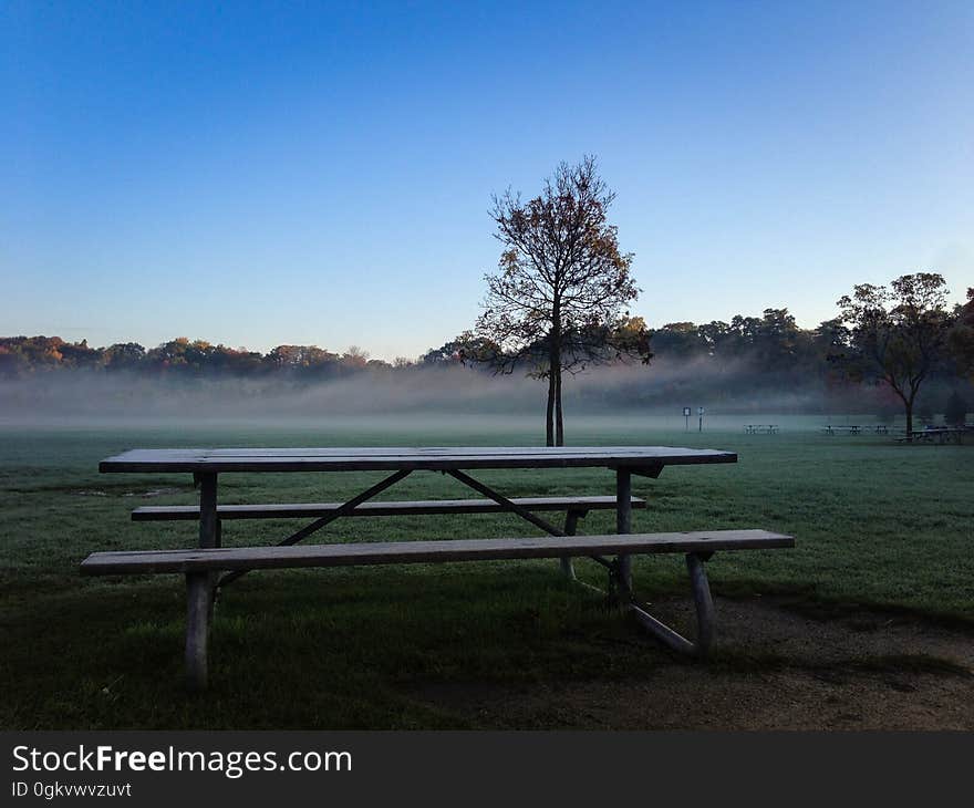 A misty, cold morning in Erindale Park. Taken with my iPhone 5. A misty, cold morning in Erindale Park. Taken with my iPhone 5.