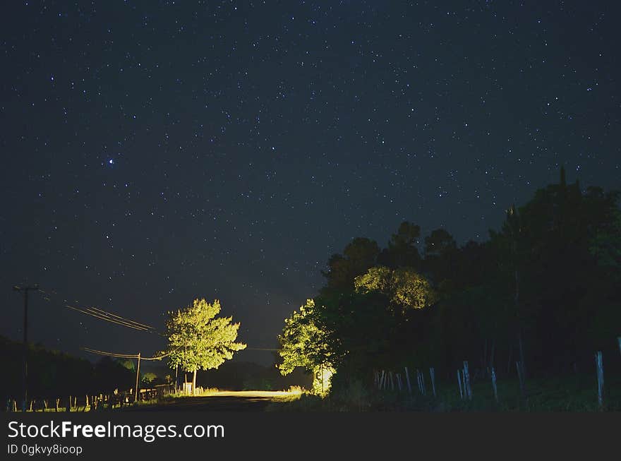 Noche de estrellas, arboles y potreros en Valle Hermoso, Misiones. Noche de estrellas, arboles y potreros en Valle Hermoso, Misiones.