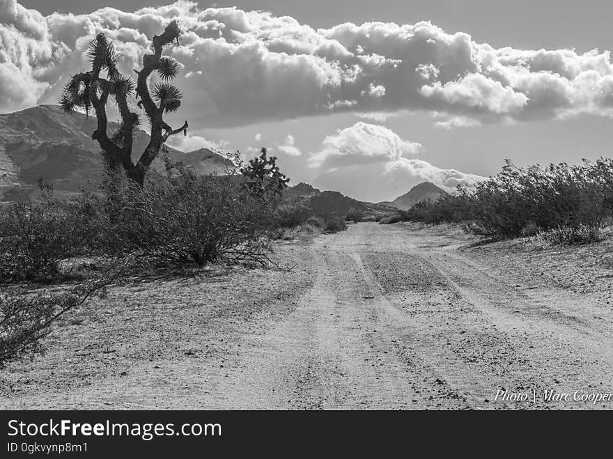 Near Mojave, CA. Near Mojave, CA