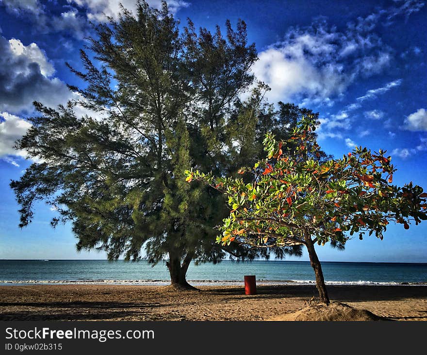 Nice to find a stretch of beach this uncrowded, down near Carolina Beach Park, Isla Verde, Puerto Rico. Nice to find a stretch of beach this uncrowded, down near Carolina Beach Park, Isla Verde, Puerto Rico