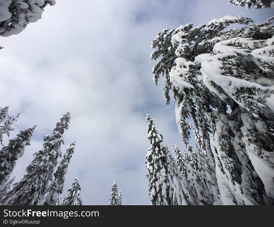 great snow @cypressmtn