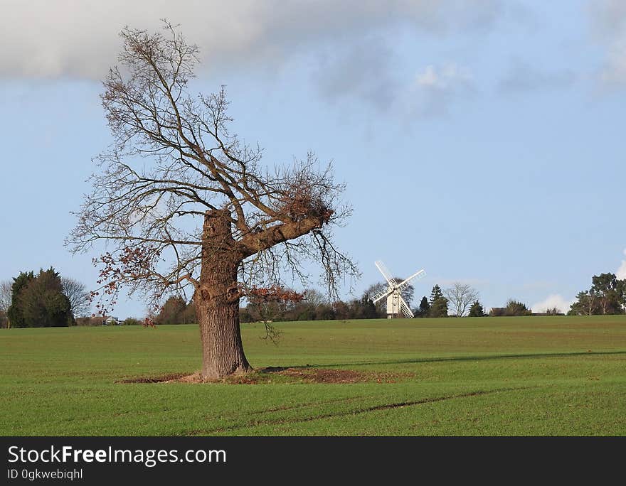 View to Bocking Windmill