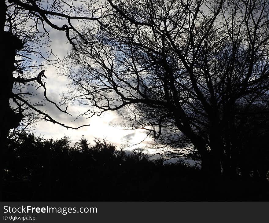 Crepuscular sky