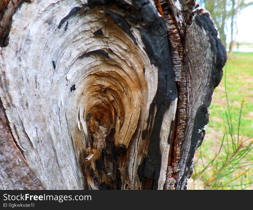 Dalmeny NSW Australia. Dalmeny NSW Australia