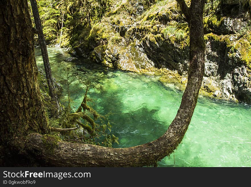 This summertime swimming hole is a favorite for those in the know. Be forewarned it is always cold. This summertime swimming hole is a favorite for those in the know. Be forewarned it is always cold.