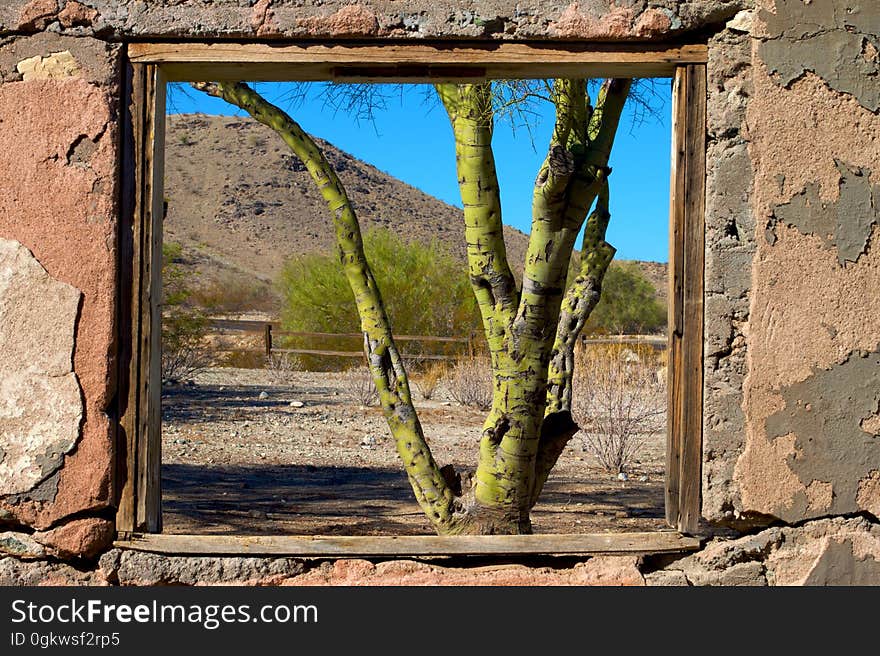 Looking outside a window of the ruins of Scorpion Gulch, a home in south Phoenix built in the 1930s of local rock. southmountainhistory.blogspot.com/2009/05/scorpion-gulch-... Okay I admit the colors have been super scooched with Vibrancy and Saturation for a false color effect on the Palo Verde tree. Looking outside a window of the ruins of Scorpion Gulch, a home in south Phoenix built in the 1930s of local rock. southmountainhistory.blogspot.com/2009/05/scorpion-gulch-... Okay I admit the colors have been super scooched with Vibrancy and Saturation for a false color effect on the Palo Verde tree