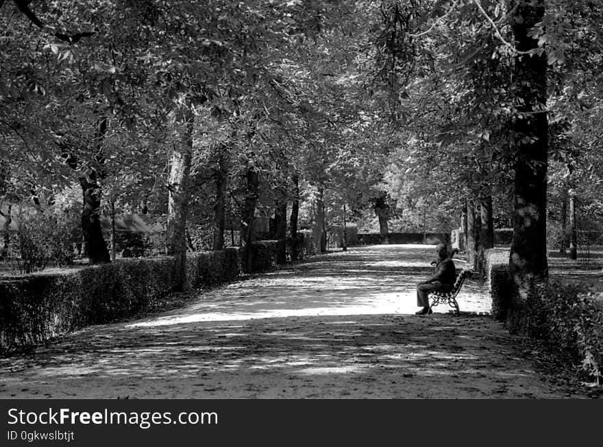 Parque del Buen Retiro - Madrid