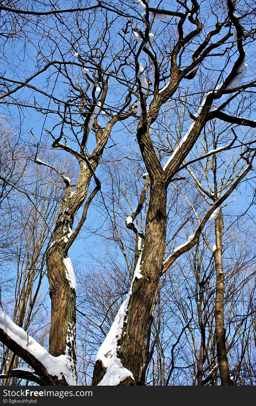 Location: Park Zwierzyniecki, Białystok, Poland. Location: Park Zwierzyniecki, Białystok, Poland