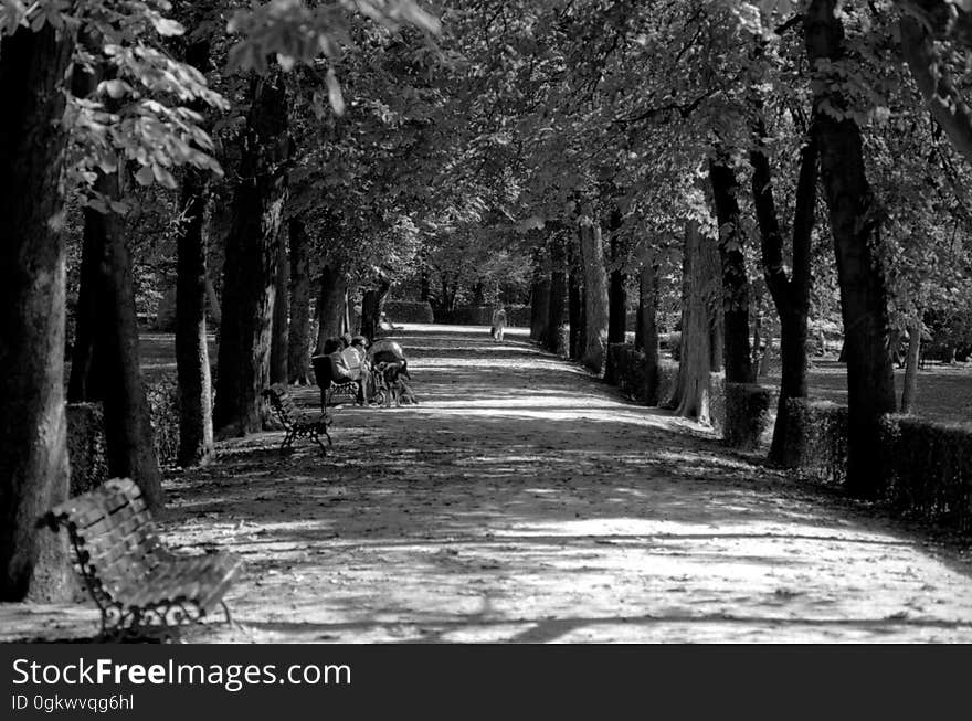 Parque del Buen Retiro - Madrid