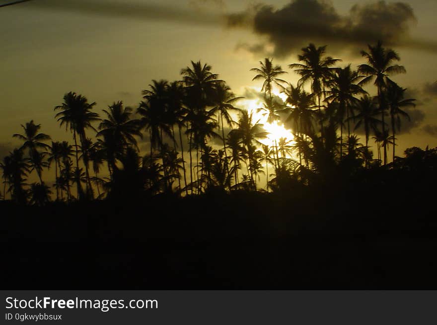 Coming back home from Porto de Galinhas. Coming back home from Porto de Galinhas