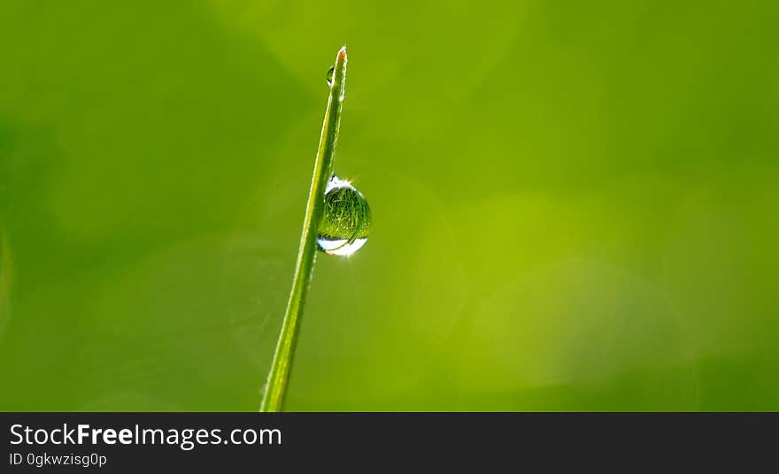 Macro Photography of Droplet on Green Leaf during Daytime