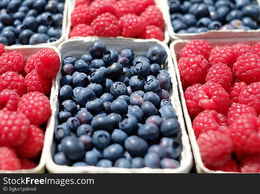 Black Oval Fruit on White Container