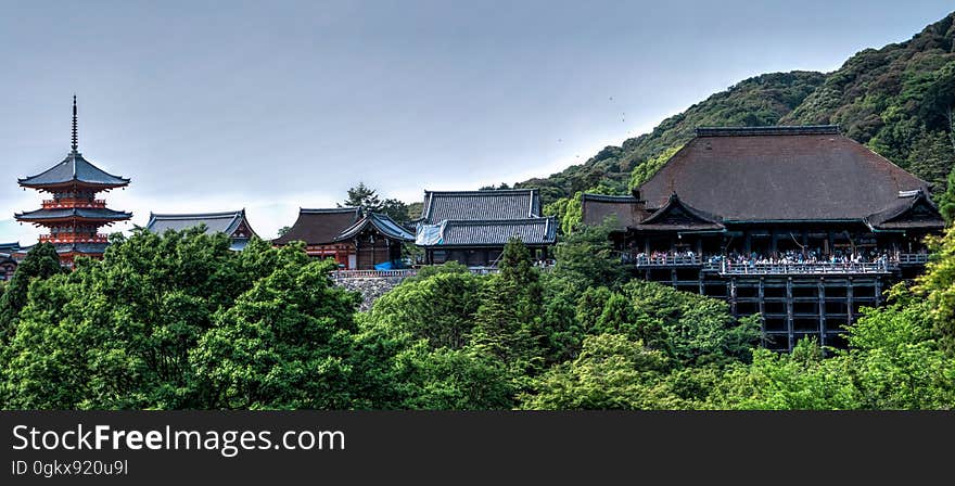 Landscape Photo of Asian Buildings