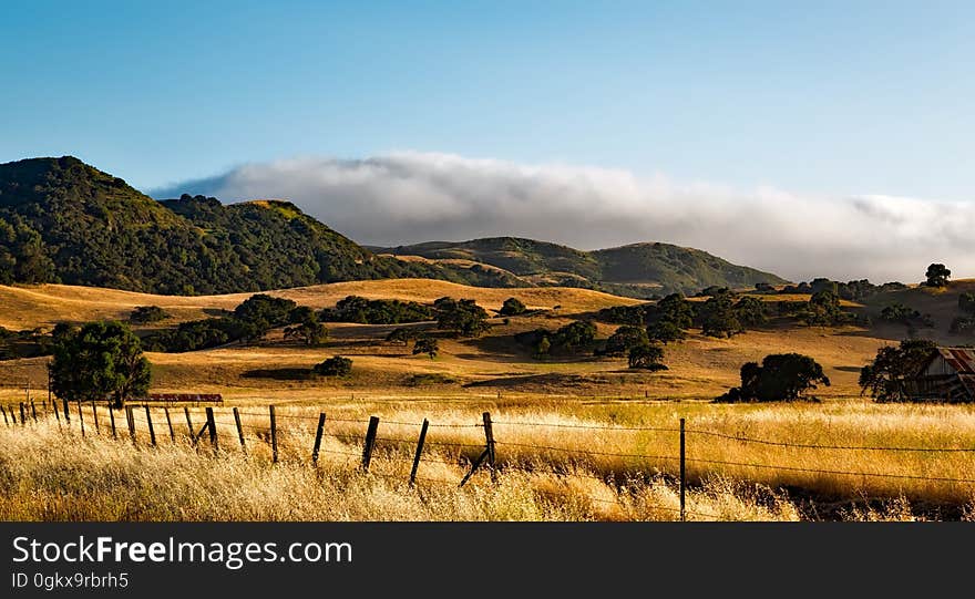 Brown Field With Trees over Mountain