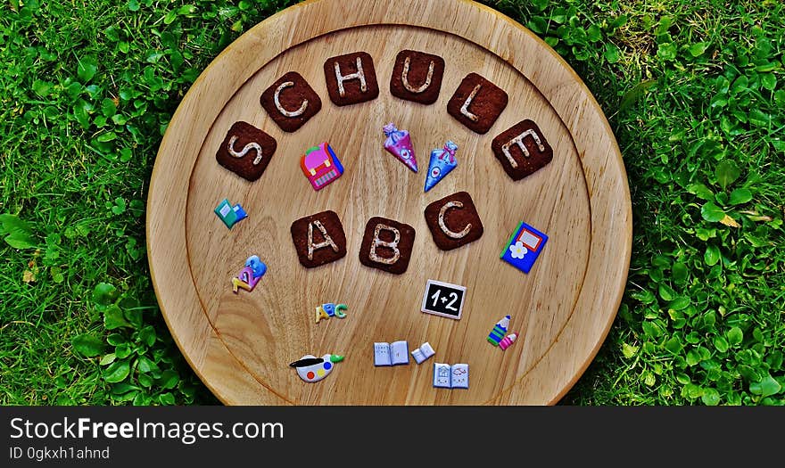 School signs on a round wooden board and green leaves in the background. School signs on a round wooden board and green leaves in the background.