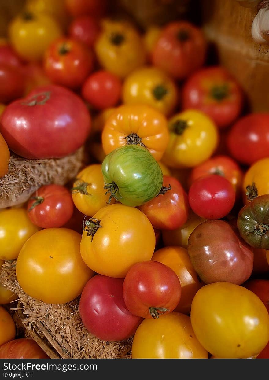 Riped and Unriped Tomatoes