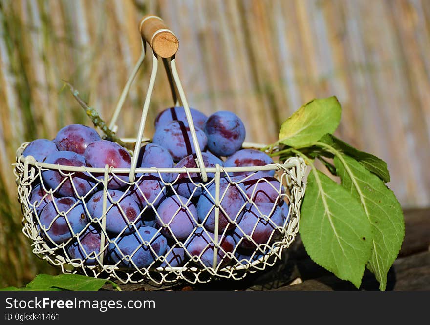 A close up of a basket full of plums. A close up of a basket full of plums.