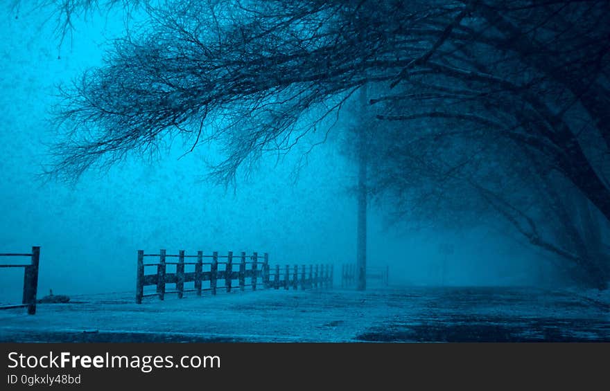 Misty path by frozen lake in winter with blue tone. Misty path by frozen lake in winter with blue tone.