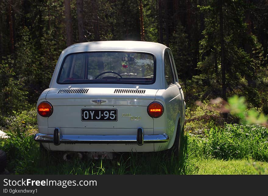 Gray Car Parked in the Forest