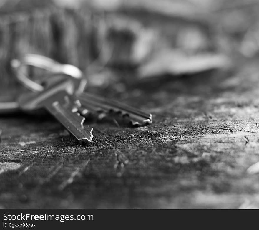 Closeup of keys on a table.